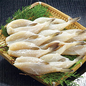 10-5 ӂ̈銱B 14@960gyⓀz 䌧  yY Y