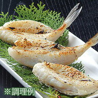 10-5 ふぐの一夜干しA 7枚 約480g【冷凍】おいしい 福井県 福井 お土産 特産物贈り物 中元 お中元 贈答
