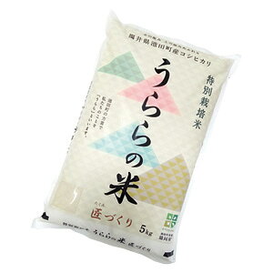 13-4 rcY ̕āuÂv5kg Ȃ 䌧 yY Y Mtg    Yi yY