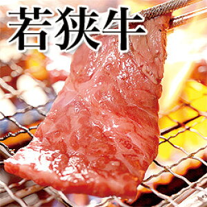 21-1 B ዷ ē 450gyⓀz 䌧  yY Y