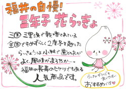 ●花らっきょう(三年子)10袋入【あす楽対応】【楽ギフ_のし】【福井お土産】【父の日ギフト】