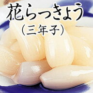 13-8三年子 花らっきょう 3袋入おいしい 福井県 福井 お土産 特産物らっきょう らっきょ贈り物