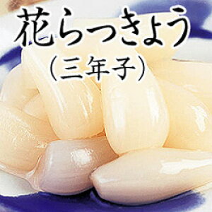 12-6 ONqԂ傤 3ܓ 䌧  yY Y