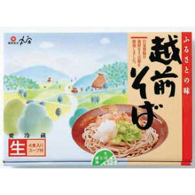 41-19　B武生製麺越前そば（4食入）つゆ付【冷蔵】福井県 お土産 特産物おいしい 福井県 福井 お土産 特産物贈り物