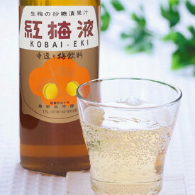 福井名産 紅梅液 ノンアルコール飲料おいしい 福井県 福井 お土産 特産物贈り物