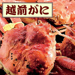 1-1 A zO킢 A 600g`700gyɁzk {C  Mtg  킢ɍΕ Ε 蕨