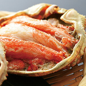 2-1 A zO킢 bA i3nCjyⓀz 䌧  yY YΕ Ε 蕨