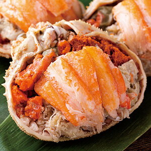 2-2 A {C  bA 4nCyⓀz 䌧  yY YΕ Ε 蕨