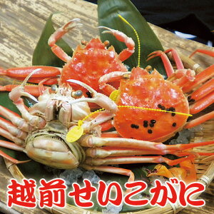 1-3 C zO C10nCy①zyz䌧  zOɍΕ Ε 蕨