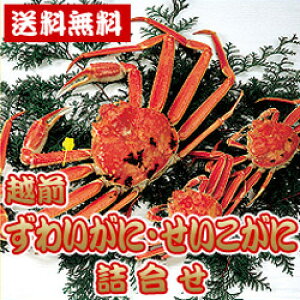 1-2 A zO킢ɁɃZbg A500g`650gy①zyz䌧  zOɍΕ Ε 蕨