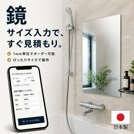 鏡 オーダーサイズ 浴室鏡 交換 姿見 ミラー 1mm単位 日本製 AGCサンミラー 防湿コート ガラスミラー 自動見積 DIY 風呂 鏡 オーダーミラー 浴室 ミラーマット無料特典 フレームなし 姿見鏡 浴室鏡 鏡DIY 鏡腐食交換 洗面台 玄関 壁掛け 鏡交換 卸価格 四方防湿コート