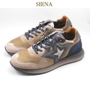 y}\P13{zcetti ZbeB Zb` Y C-1311 SIENA uE CG[ KLIN O[ zCg U[Xj[J[ lXj[J[ {v {u ʉ ꉟ C|[g