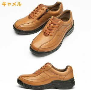 yyVC[OXӍP5{zY JWAV[Y 4e L {v hN^[AbV[ EH[LOV[Y Dr.ASSY DR-8014 ubN L  R hL y ʋC L Ȃ 