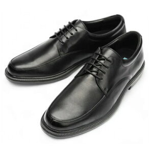 y}\P5{zY amC rWlXV[Y 4E L y hN^[AbV[ Dr.ASSY DR-6045 ubN  Ch  {v tOCU[ v  ɂ 炩