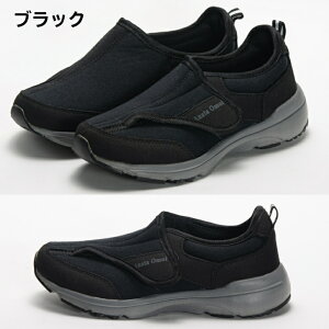 yBLACK FRIDAYGg[P5{znrV[Y fB[X  3E L Anata Omoi Ȃz LE3919 ubN O[ V[Y y nrV[Y  