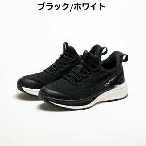 y}\P5{zphiten t@Ce fB[X bƃV[Y Xj[J[ Xb| ubN AC{[ p[v O[ 22.5-24.5cm PHL001