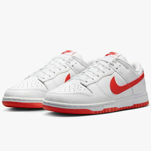 NIKE DUNK LOW RETRO iCL _N [ g Y [Jbg zCg/sJebh IW DV0831-103 Y Xj[J[ 