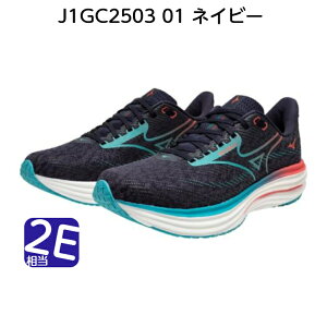 �~�Y�m WAVE RIDER 29 �����Y �����j���O�V���[�Y MIZUNO ENERZY