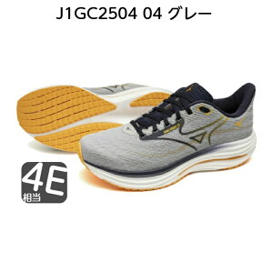 �~�Y�m WAVE RIDER 29 �����Y �����j���O�V���[�Y MIZUNO ENERZY