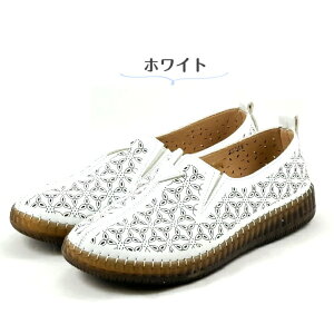 Xb| fB[X 炩 ₷ u[ bh zCg    myHOBBY 킢 JWA C Ɨ ӂӂ ~ [NXb| ̓