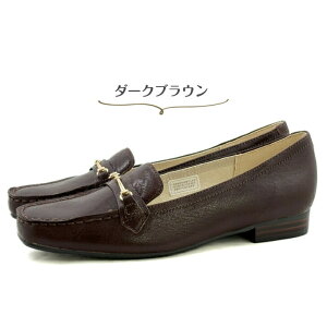 y}\P13{z[K fB[X rbg [t@[ rbgt JV V[Y REGAL F60N _[NuE F [q[ 2cmq[ {v U[ JWA LC ʋ 