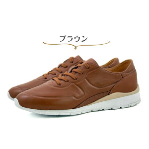 y3020`4HP3{z[K fB[X U[ [XAbv Xj[J[ REGAL BE81 uE F y ꂢ Vv JWA 炩 ^ RC {v ₷ ʋ ʊw 