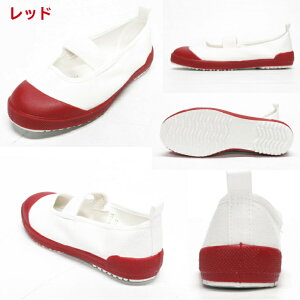 _2ȏ܂ƂߔZ[{^[X^[ 㗚 oCIAt@S q LbY { R hL   14-27cm BIOALPHAS