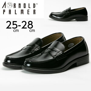 [t@[ Y wC 3E L A[mhp[}[ ARNOLD PALMER AP-1801 ubN rWlXV[Y Xb| jqʊwC 