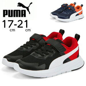 v[} LbY G{u bV Xj[J[ PUMA 386239 01 ubN/zCg 02 lCr[ }WbNe[v X|[eB JWA ^C q j̎q ̎q ʊw w  