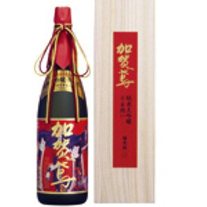 ̎𑠁@΁@đ@͂iъGxj