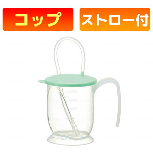�X�P�[�^�[ �X�g���[�R�b�v KSNS1 �V�j�A�x�[�V�b�N ���p�R�b�v �X�g���[�t�� 280ml ����Ҍ��� ���p�i �H���⏕
