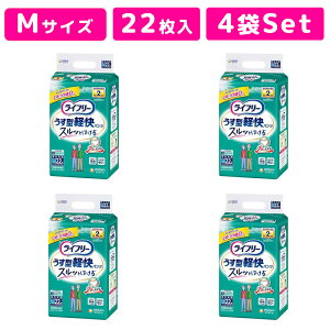 Ct[ ^ypc Ԃ񂵂 MTCY 22 P[X̔y4setzlpނ Ct[ނ Ct[^ypc Ct[^pc Ct[Ic C