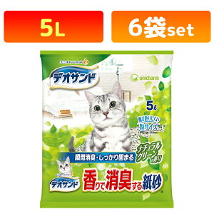 y6܃ZbgzfITh ŏL鎆 i`O[̍(5L)yfIThz L Lp L ybg ybgpi gC^[ gC