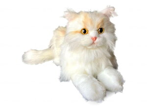 ȂłȂł˂EX GKXyTCxA ʂ l` L̂ʂ ˂̂ʂ b ʂ L ׂ R~jP[V{bg ȂłƂȂ ˂ Ԏ