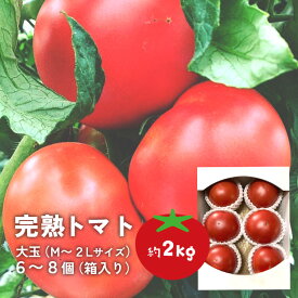 ★【販売中】★ めごトマト 会津産 トマト 箱入り(小) 完熟 大玉 桃太郎 甘い 約6〜8個 産地直送 産直 糖度 ギフト 野菜 やさい 福島 農家直送