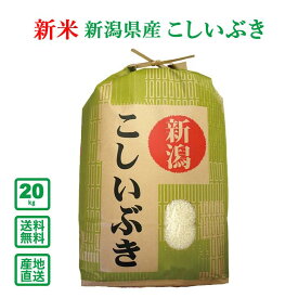 【令和5年産】新潟県産 こしいぶき 20kg(5kg×4袋)(精米)【送料無料（一部地域除く）】