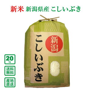 【新米】【令和7年産】新潟県産 こしいぶき 20kg(5kg×4袋)(精米)【送料無料(一部地域除く)】