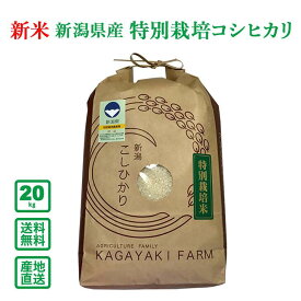 【令和5年産】新潟県産 特別栽培コシヒカリ 20kg【送料無料(一部地域除く)】