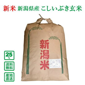 【令和5年産】新潟県産 こしいぶき 25kg(玄米) 【送料無料（一部地域除く）】