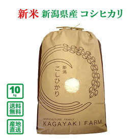【令和5年産】新潟県産 コシヒカリ 10kg(精米)【送料無料（一部地域除く）】
