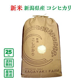 【令和5年産】新潟県産 コシヒカリ 25kg(精米)【送料無料（一部地域除く）】