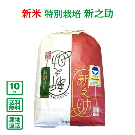 【新米予約】【令和8年産】新潟県産 特別栽培新之助 10kg（5kg×2袋）【送料無料（一部地域除く】