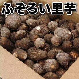【予約】ふぞろい沢海里芋 3kg　ねっとりとした食感とさといもの甘みが美味！ 【訳あり・ふぞろい・規格外・ご自宅用】【冬野菜】【送料無料(一部地域除く)】