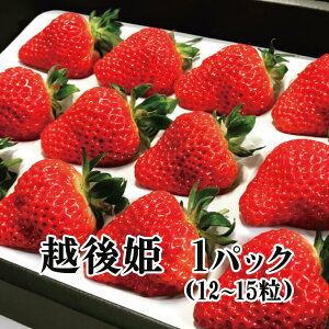 y\zV̂ zP 1pbNi12`15jy~Mtgz