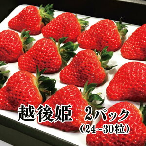 y\zV̂ zP 2pbNi24`30jy~Mtgz