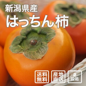 y\z͂` 2ii26`36jyʕEMtgEpzyʌzyiꕔn揜jz