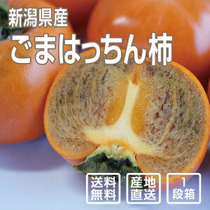 y\z܂͂` 1ii12`16jyʕEMtgEpzyʌzyiꕔn揜jz