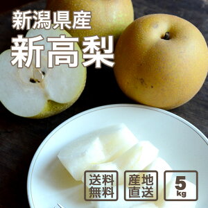 y\zJKL_̗Mtg Vi5kg 6-8ʁjyʌzyiꕔn揜jz