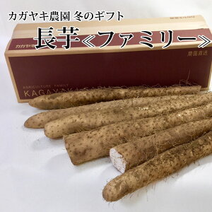 y\zkt@~[l 4kg܂EȂ y~Mtgzy(ꕔn揜)z