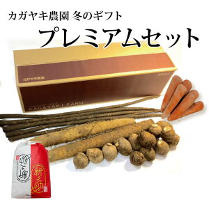 y\zJKL_v~AZbg y~Mtgz